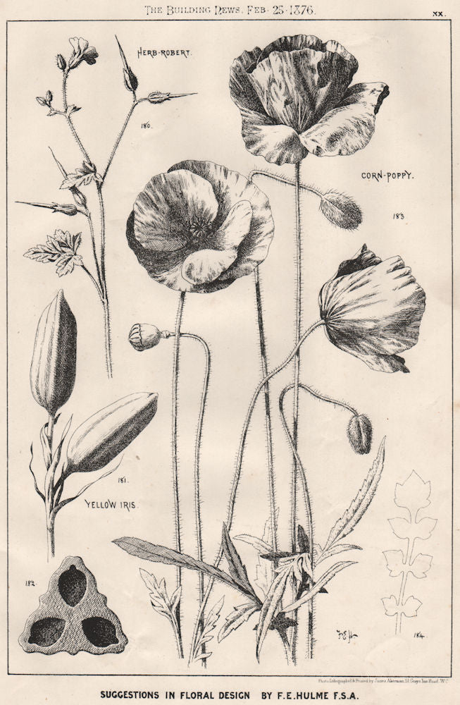 Suggestions in Floral; Design by F.E. Hulme F.S.A.. Decorative (18) 1876 print
